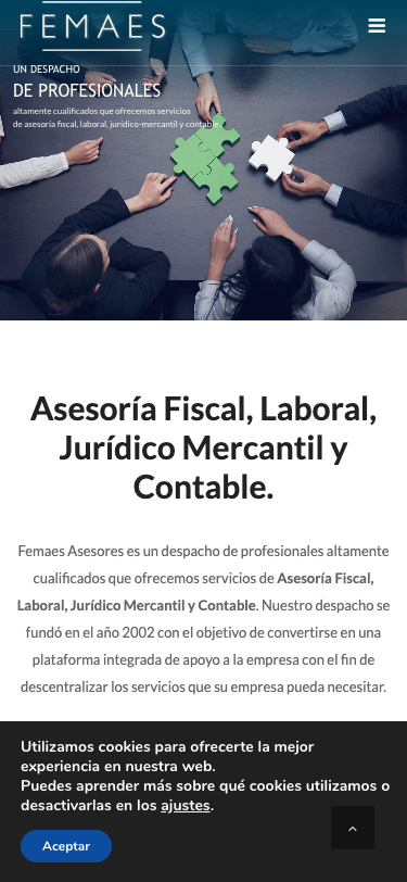 Captura de la web actual de Femaes Asesores en un móvil